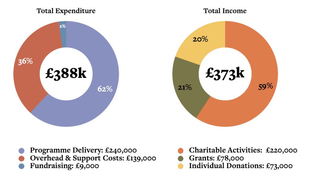 Impact Report Financial Graph
